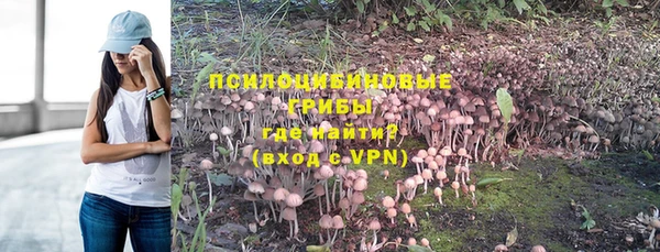 каннабис Богородицк